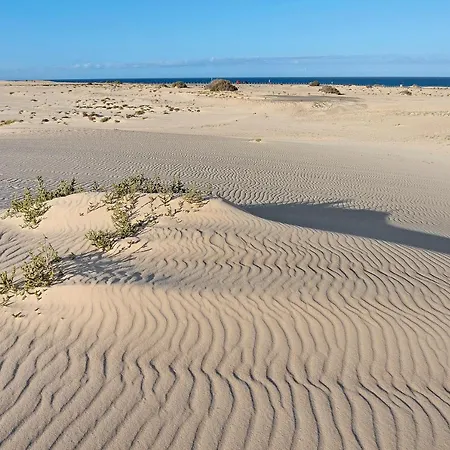 Garden 128 Corralejo