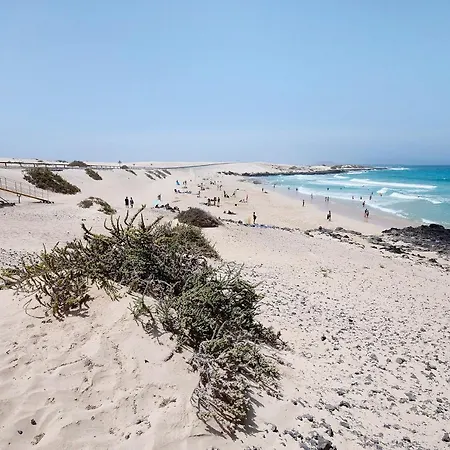 Garden 128 * 코라레호